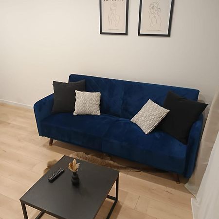 Superbe Appartement ! 圣艾蒂安 外观 照片
