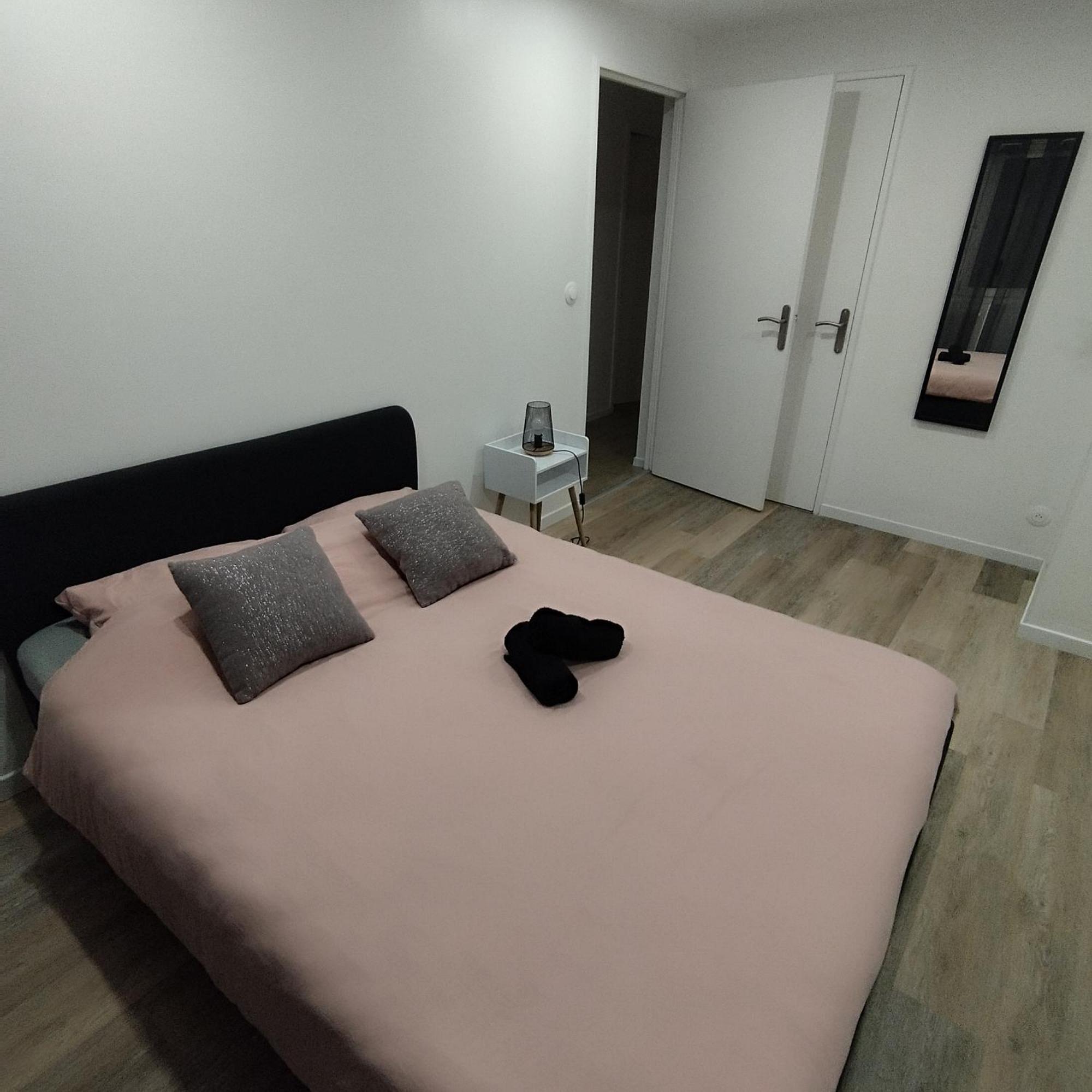 Superbe Appartement ! 圣艾蒂安 外观 照片