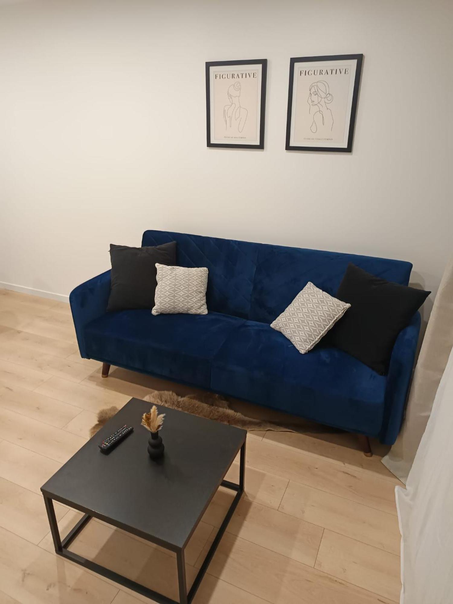 Superbe Appartement ! 圣艾蒂安 外观 照片