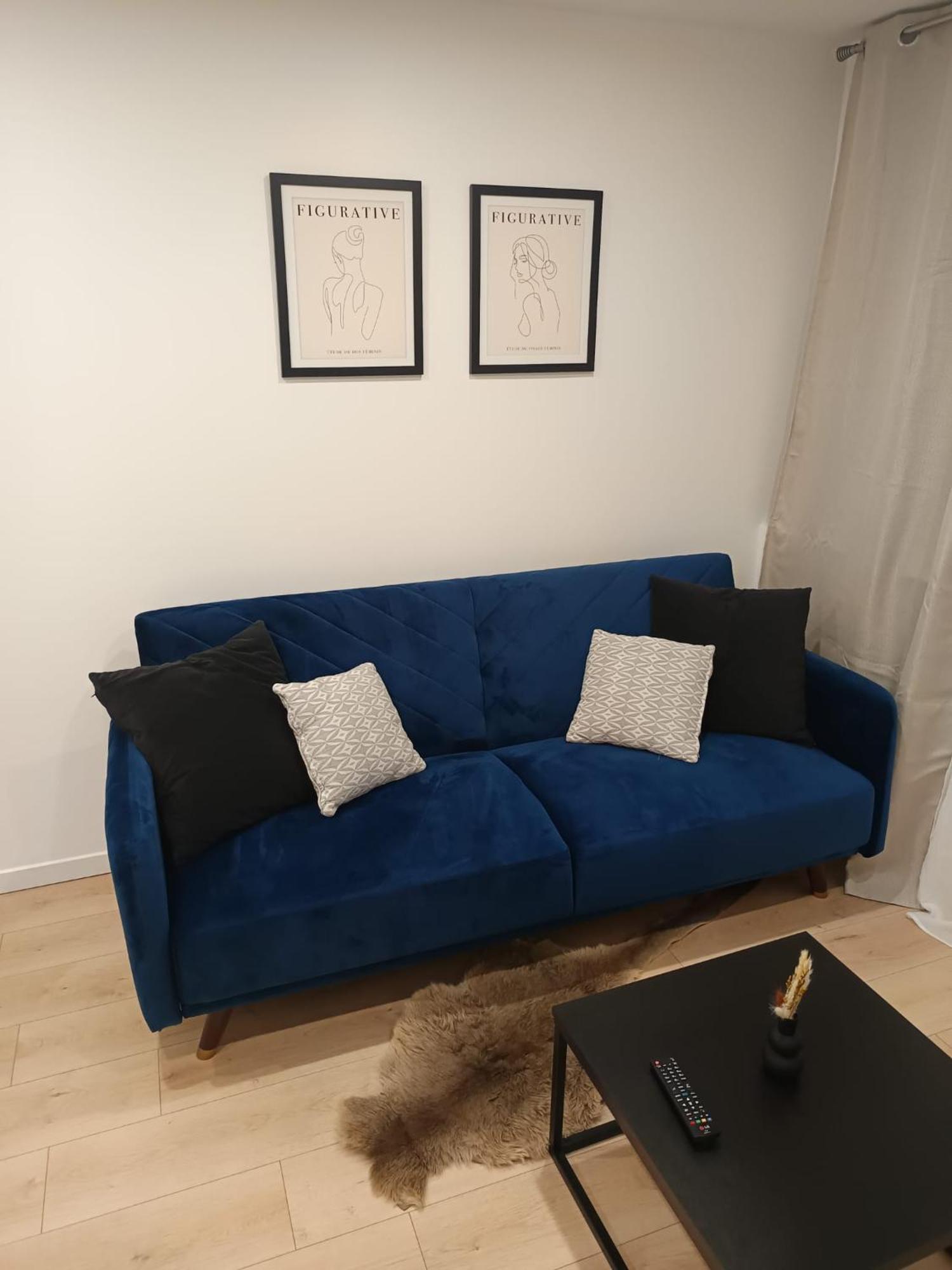 Superbe Appartement ! 圣艾蒂安 外观 照片